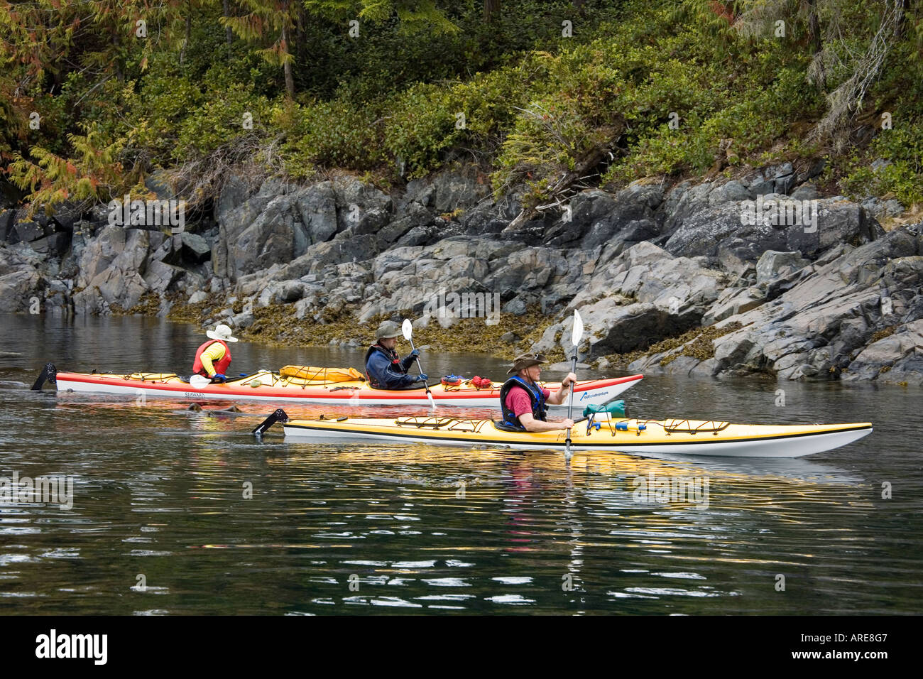 Kayak le long de la rive en Johnstone Sound près de Telegraph Cove, l'île de Vancouver, Canada Banque D'Images