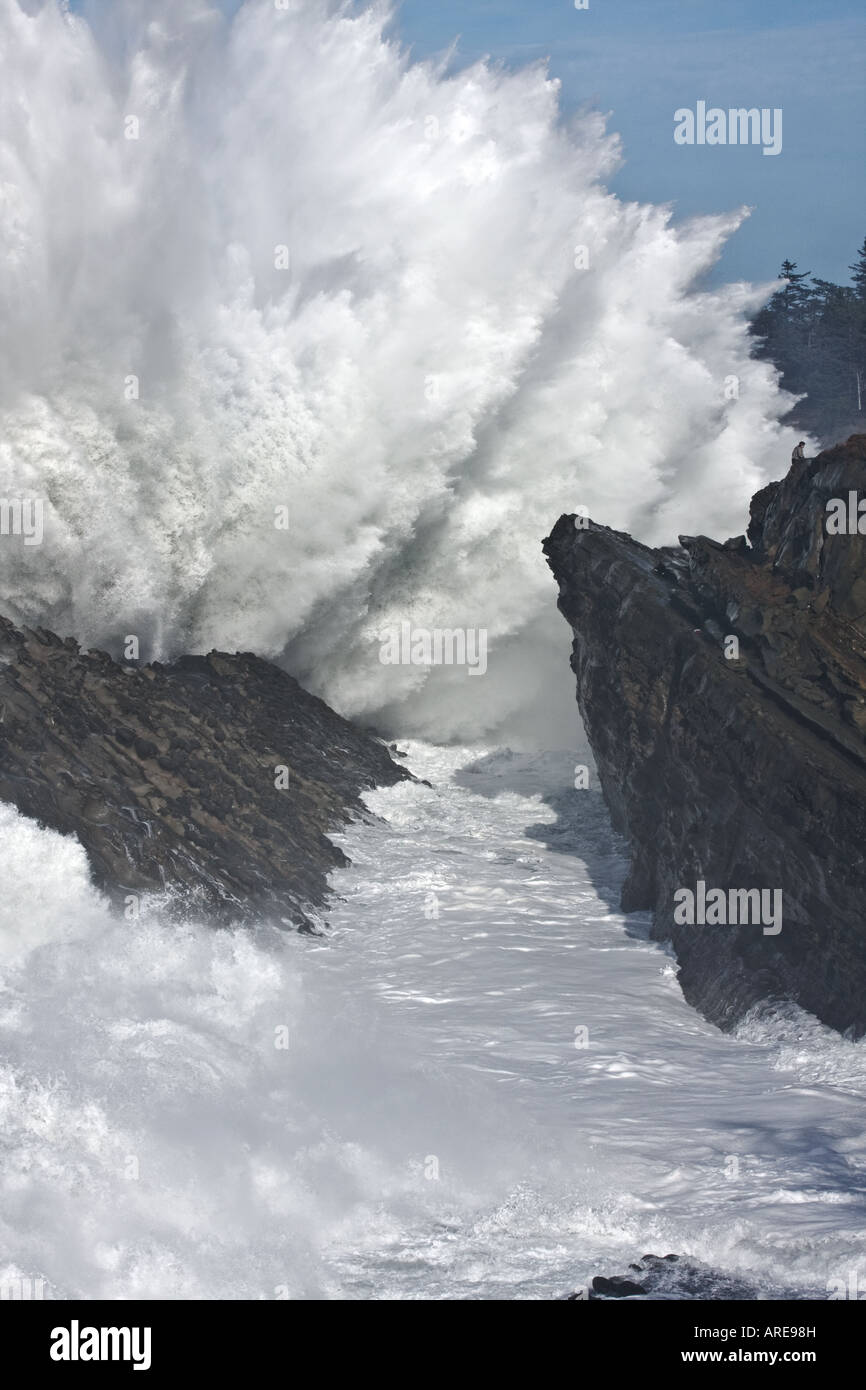 De très grandes vagues se brisant sur les falaises de Shore Acres State Park dans l'Oregon sur une journée d'été Banque D'Images