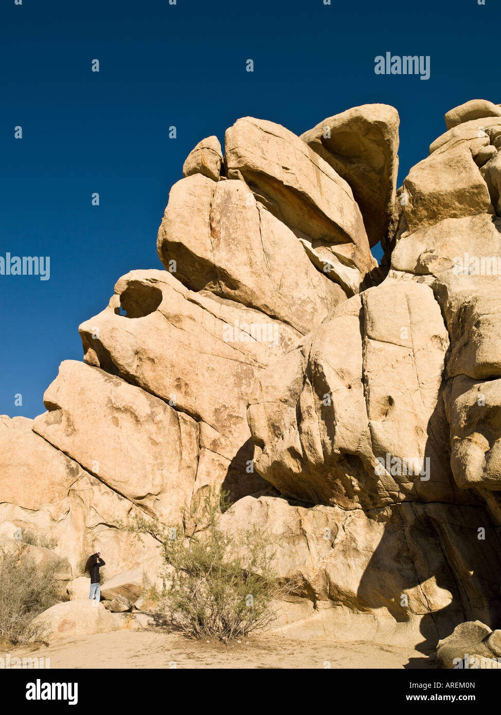 Rock face à Joshua Tree National Park en Californie Banque D'Images