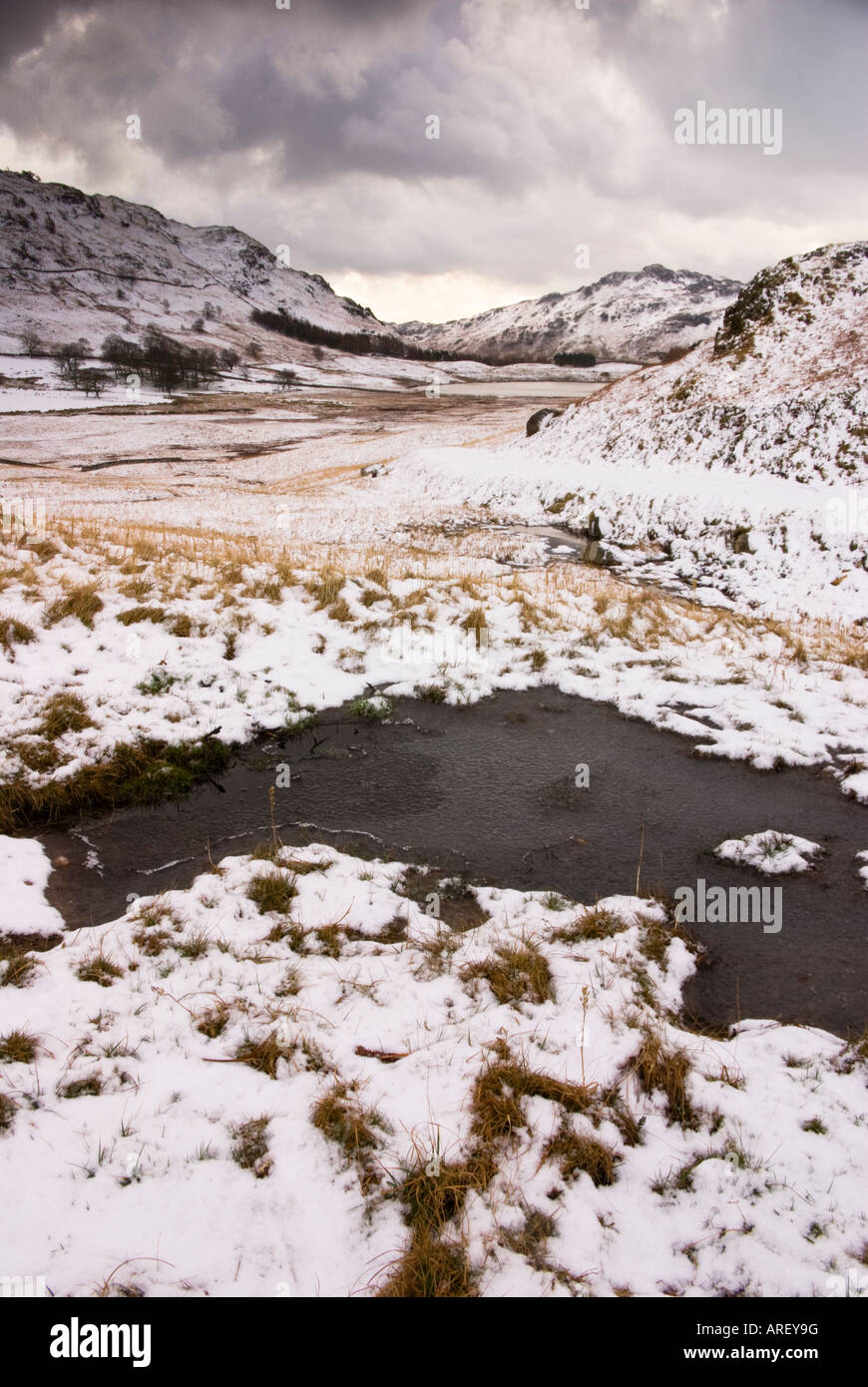 Blean Tarn en la distance avec un foregound congelés Banque D'Images