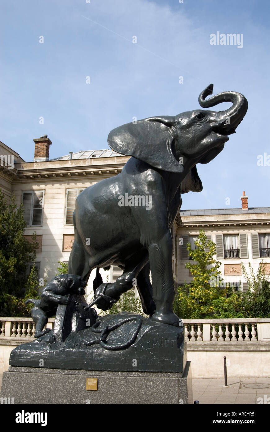 Sculpture intitulée jeune éléphant pris au piege par Emmanuel Fremiet en dehors du musée d'Orsay Paris France Banque D'Images