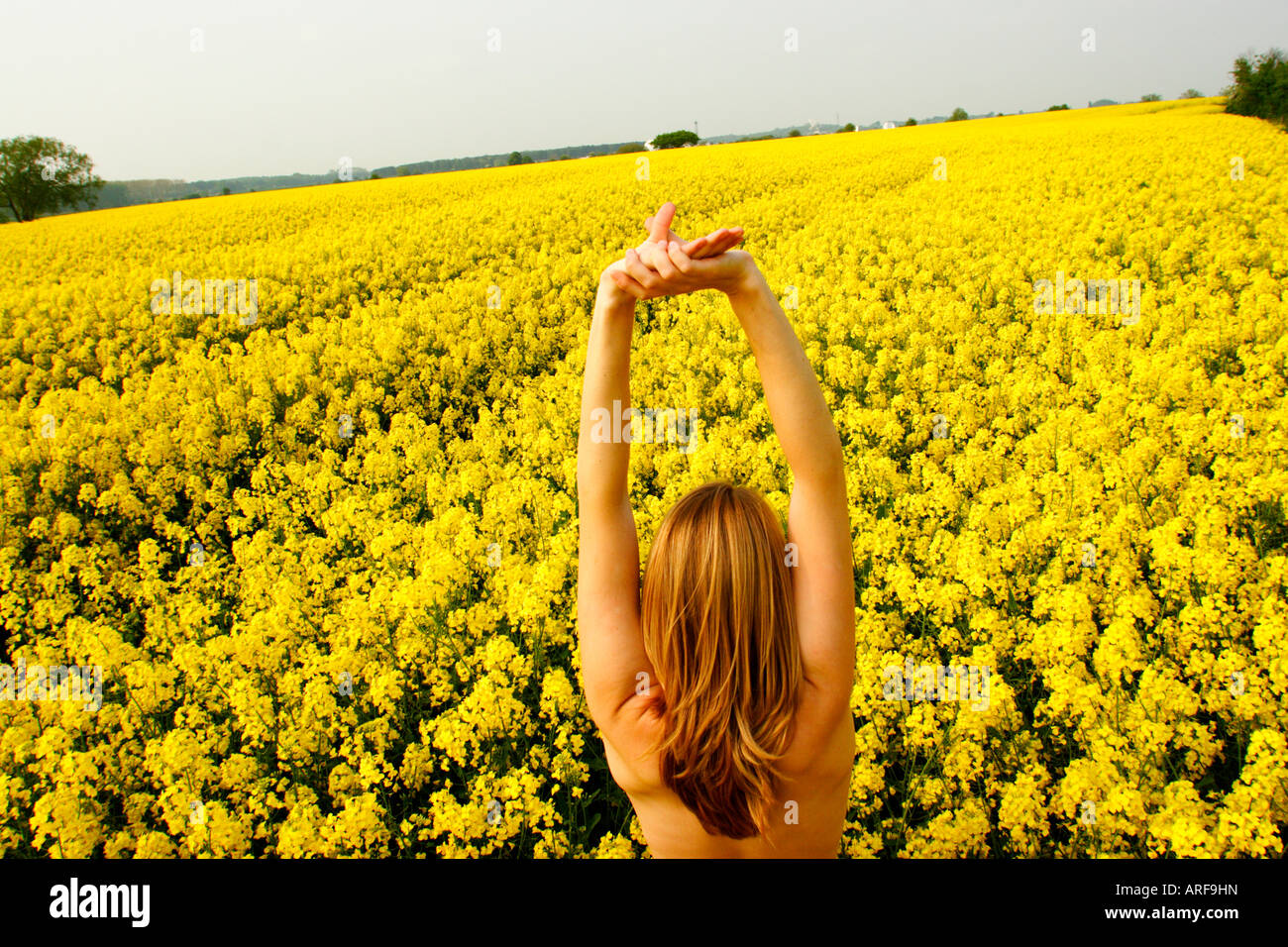 Europe Angleterre femme nue debout dans un champ de colza Photo Stock