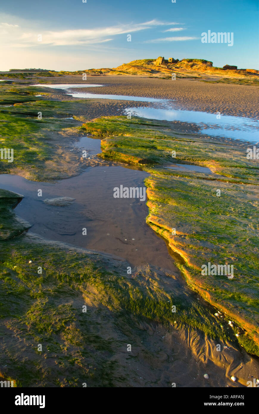 La lumière d'Or chaud sur peu d'oeil avec l'Île Hilbre dans la distance, West Kirby Péninsule de Wirral Banque D'Images