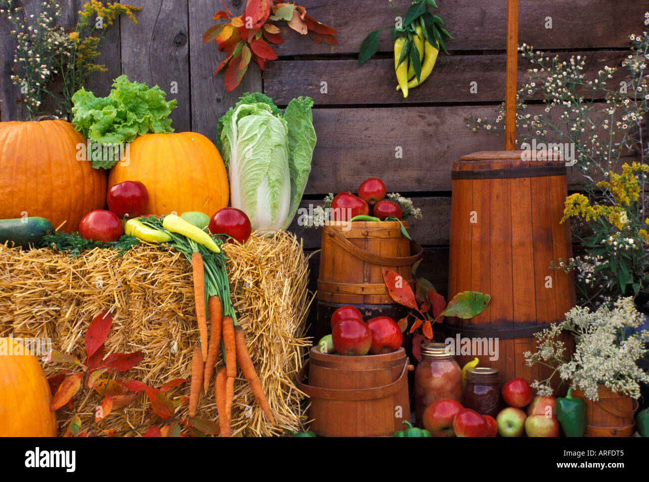 American de récolte d'automne à l'affiche au Farmers Market Banque D'Images