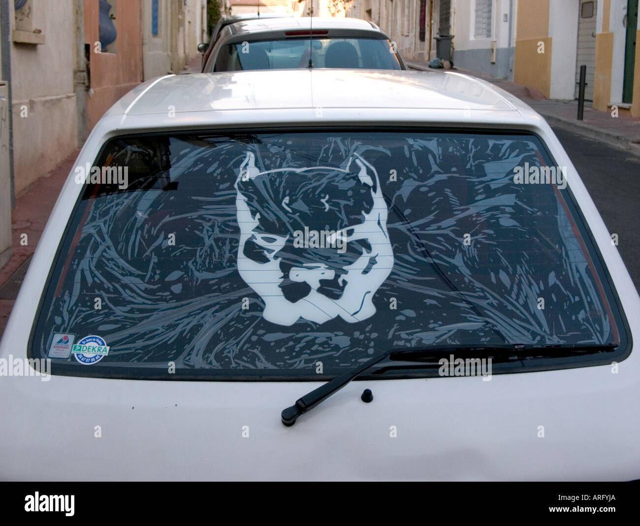Un gros plan de la fenêtre arrière de la petite voiture en grand roulement  de pit-bull terrier autocollant tête de chien Photo Stock - Alamy