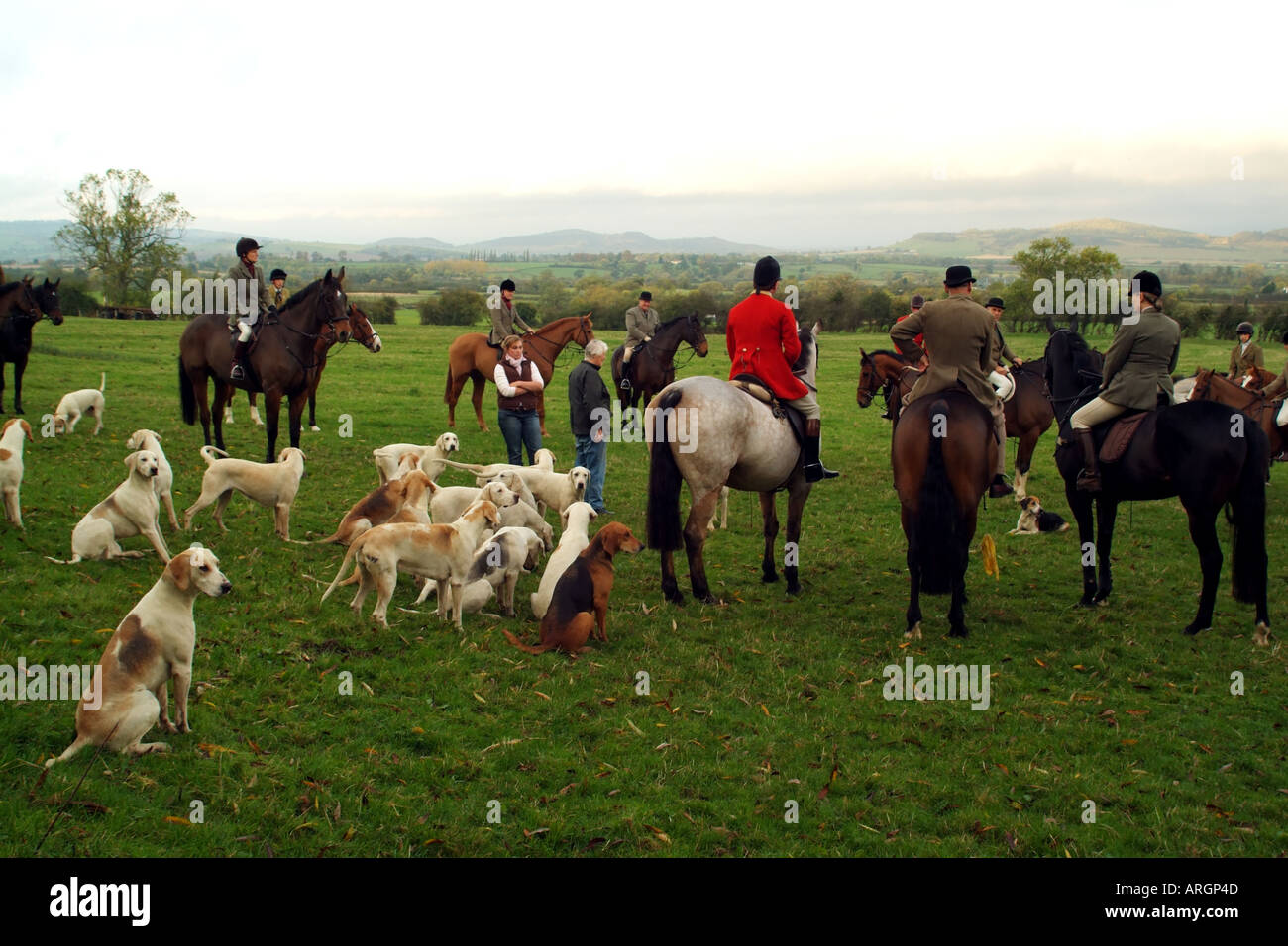 Les Cotswolds Gloucestershire Angleterre tôt le matin réunion de recherche de Banque D'Images