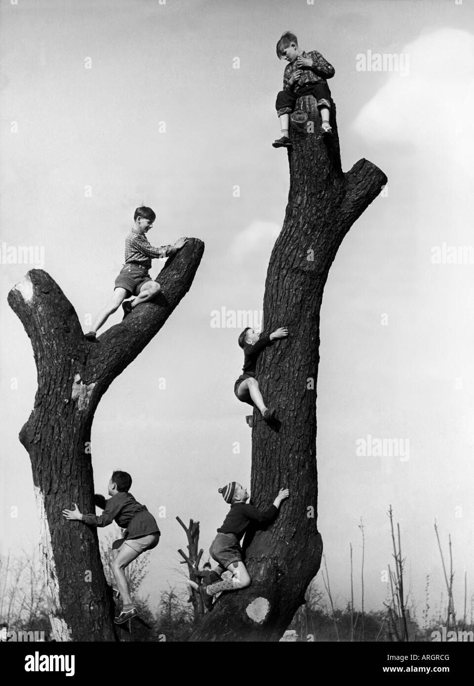 Les gens, les enfants, jouer, les enfants sur le terrain de jeux, les garçons grimpant sur un arbre mort, aire de jeux, quartier de Tempelhof, Berlin, mai 1955, Banque D'Images