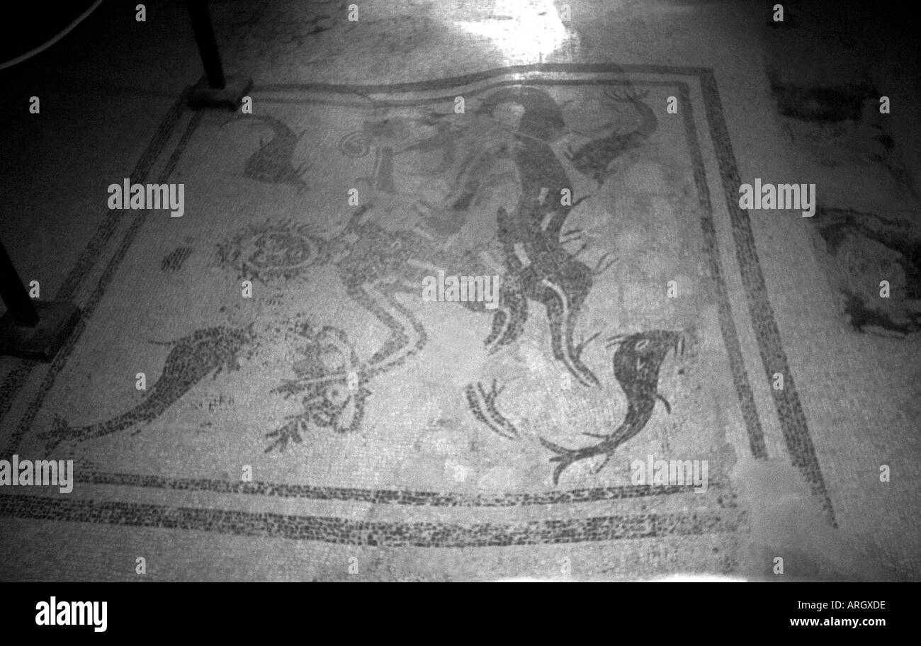 Vue détaillée des ruines d'Herculanum Herculanum Naples Napoli Campania Italie péninsule Italienne Italia Europe Banque D'Images