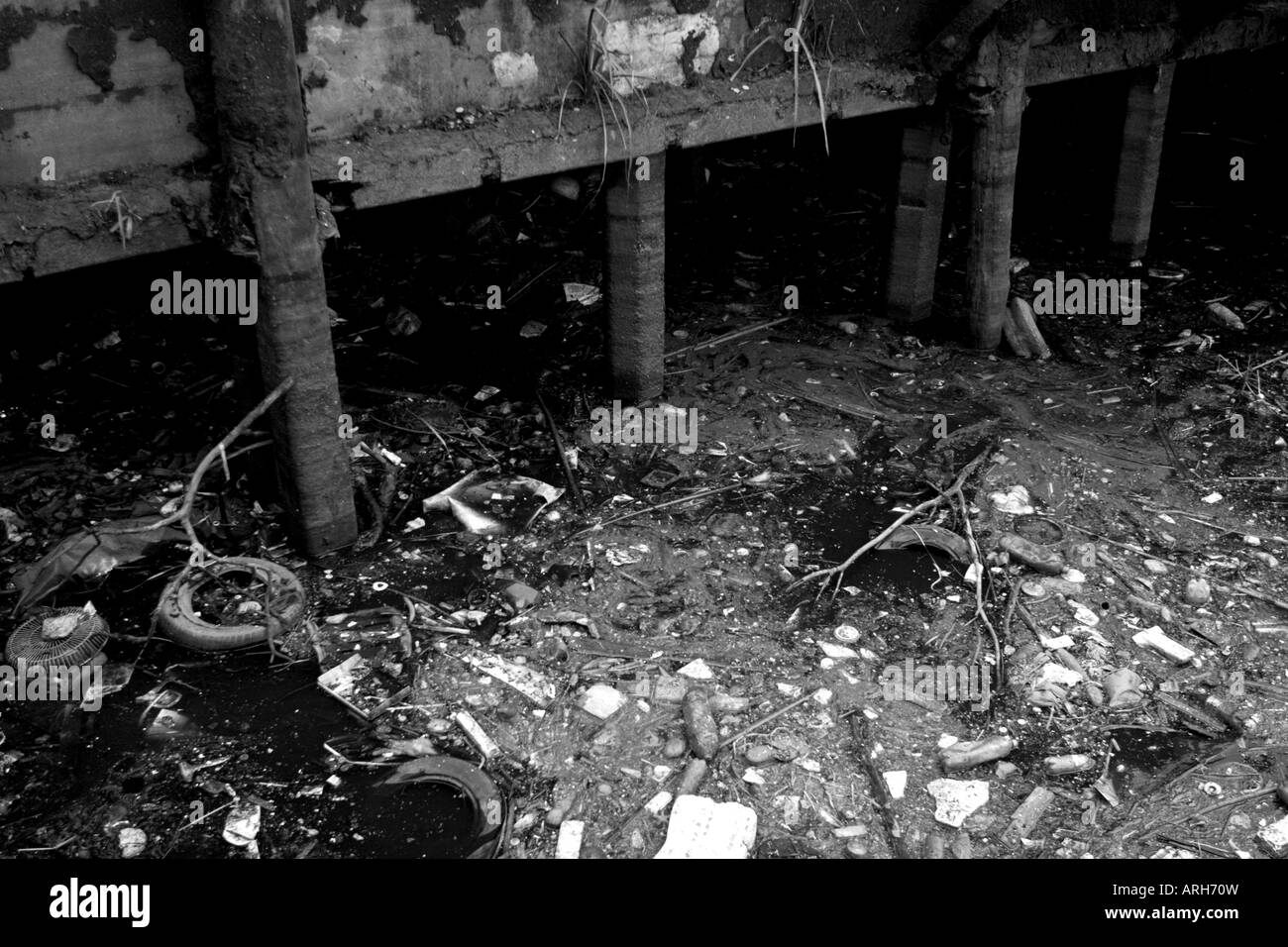 Dans la corbeille ou Rio Riachuelo Matanza (rivière) rivière abattus à Buenos Aires, Argentine Banque D'Images