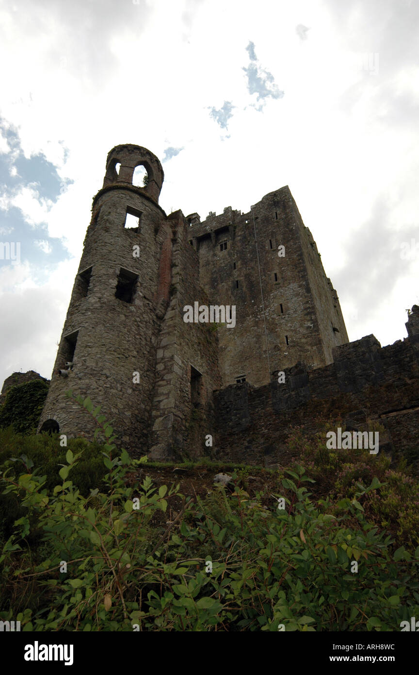 Une vue générale du château de Blarney Blarney, représenté à la proximité de la ville de Cork en Irlande. Banque D'Images