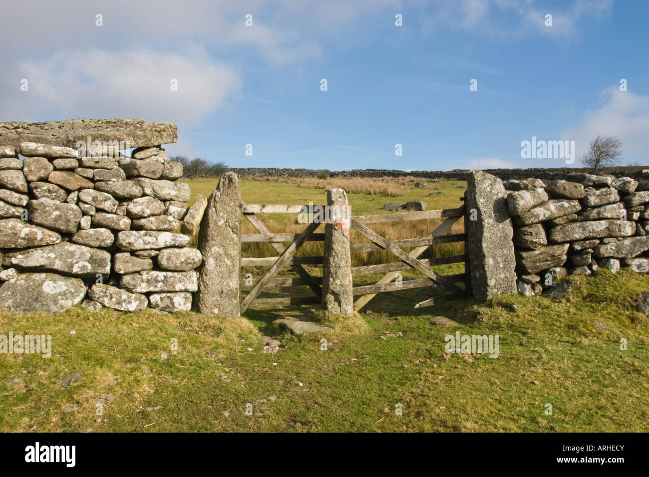 Cinq traditionnel bar gate avec des piliers de pierre dans un mur en pierre sèche à Dartmoor Banque D'Images