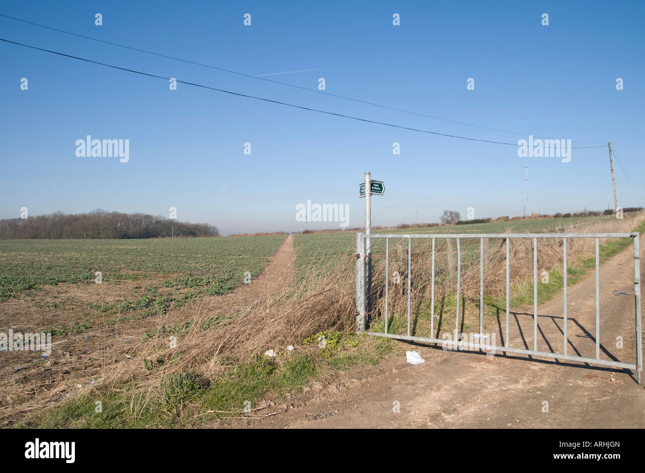 Sentier public des terres agricoles Banque D'Images