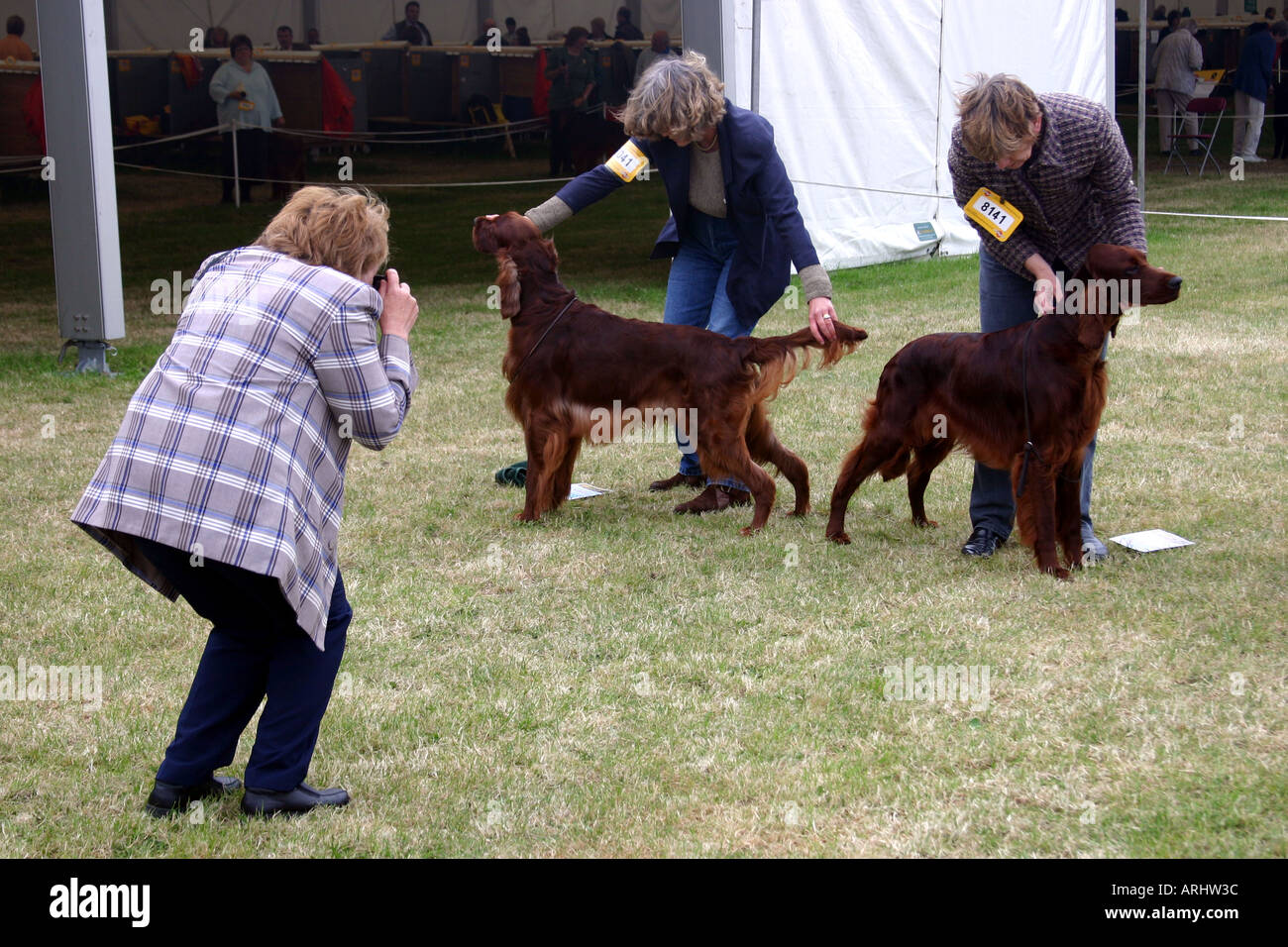 Les propriétaires de chiens à trois comtés dog show malvern worcestershire Royaume-uni ayant photo prise Banque D'Images