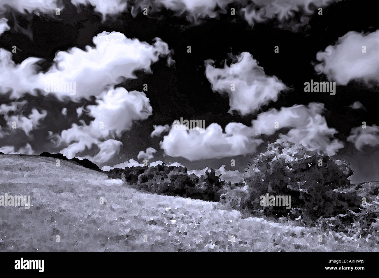 Scène de campagne noir et blanc Banque D'Images