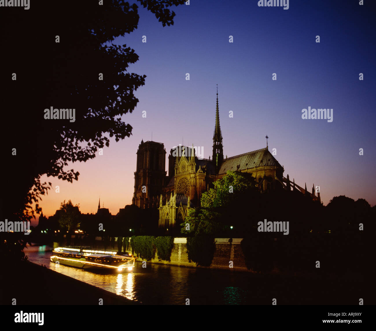 La cathédrale Notre Dame, Paris, France Banque D'Images