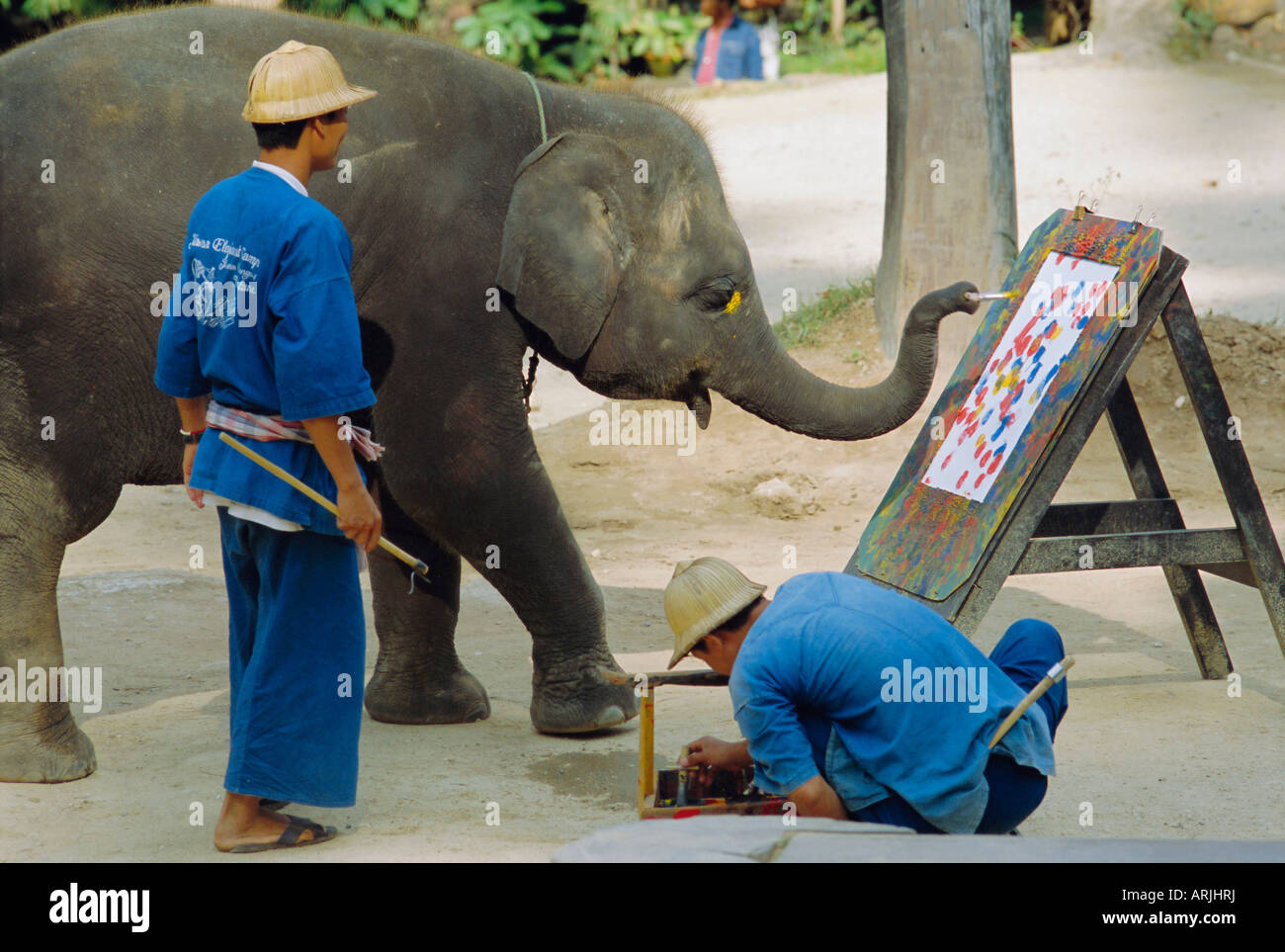 La peinture de l'éléphant avec sa trompe, Mae Sa Elephant Camp, Chiang Mai, Thaïlande, Asie Banque D'Images