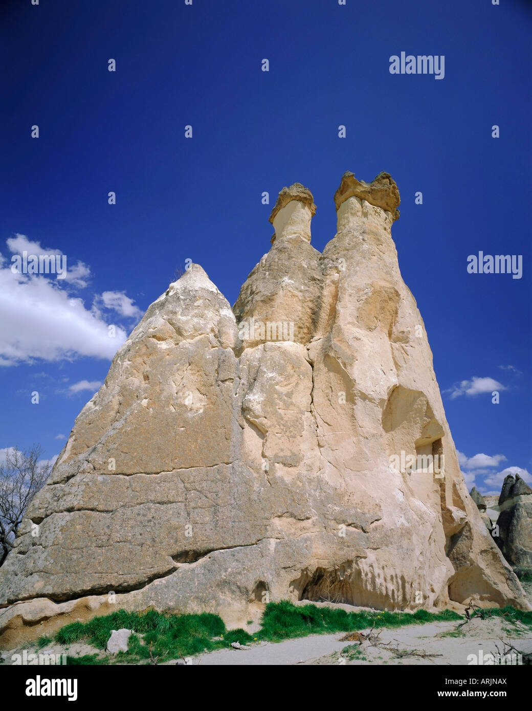 Cheminées de fées, des formations géologiques résultant de l'érosion différentielle, Pasabag près de Zelve, Cappadoce, Turquie, l'Eurasie Banque D'Images
