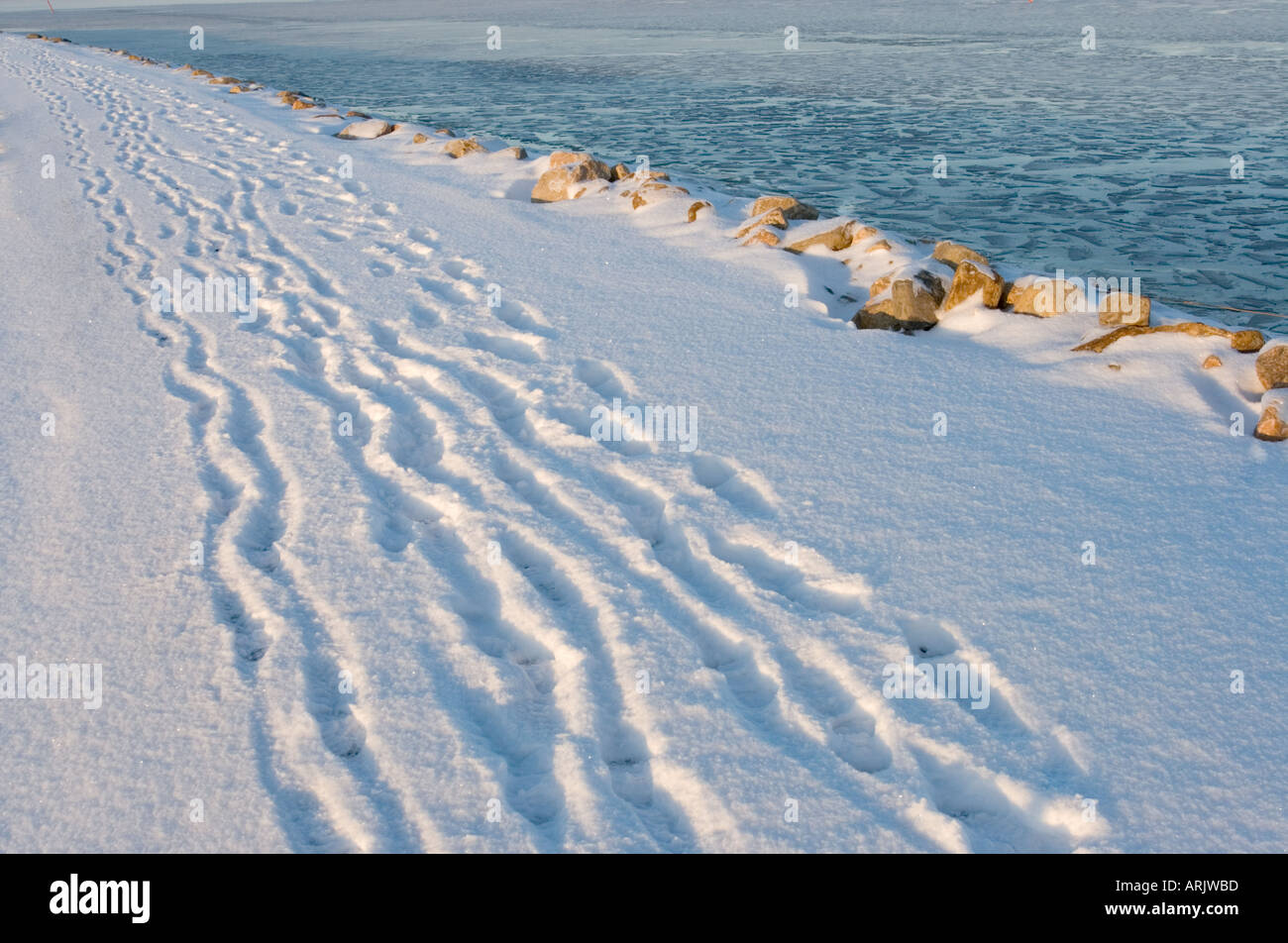 Empreintes humaines sur de la neige fraîche à Winter, Finlande Banque D'Images