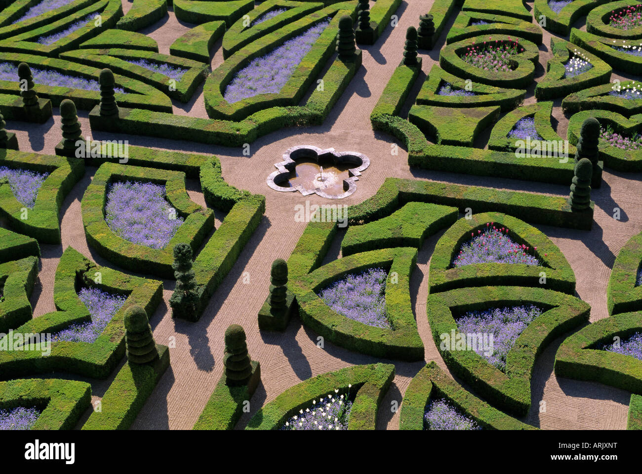 Jardins à la française, le château de Villandry, Indre et Loire, Loire, France, Europe Banque D'Images