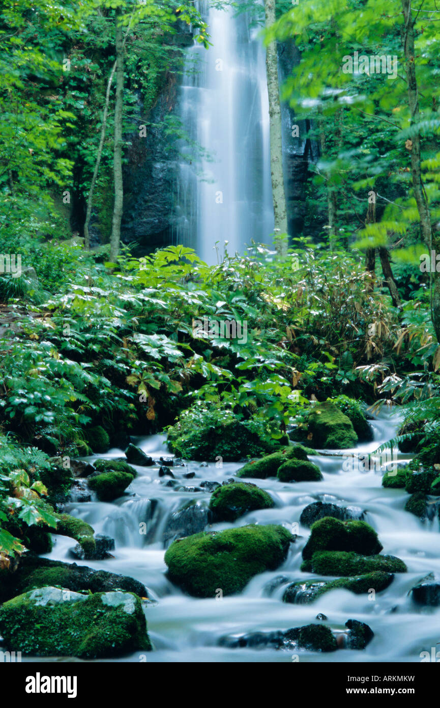 Vallée Oirase cascade, nourris par le lac Towada-ko, d'Aomori, au nord du Japon Banque D'Images