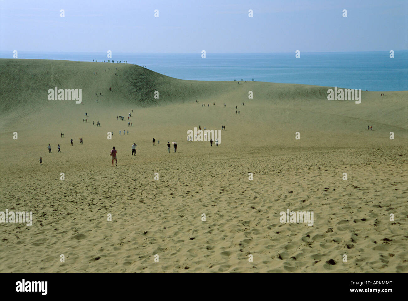 Les dunes de sable de Tottori Tottori et mer, Prefecture, Japan Banque D'Images