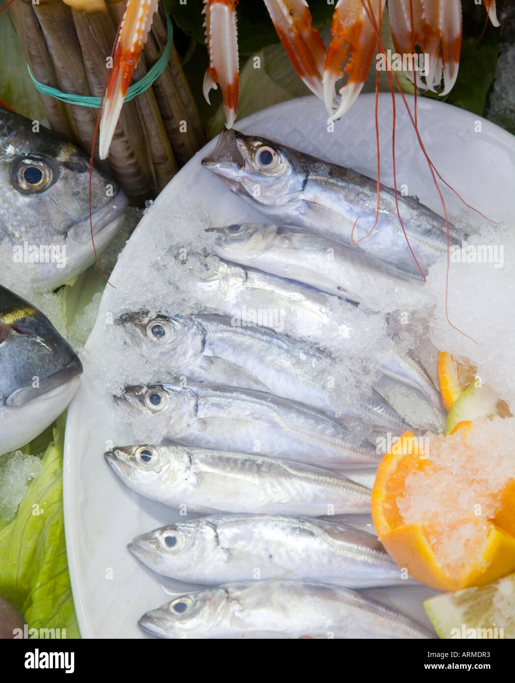 L'Espagne affiche dans la fenêtre de fruits de mer restaurant Banque D'Images