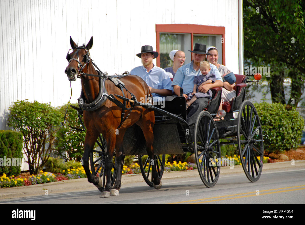 Amish du Michigan situé dans la terre agricole près de Lexington au Michigan Banque D'Images