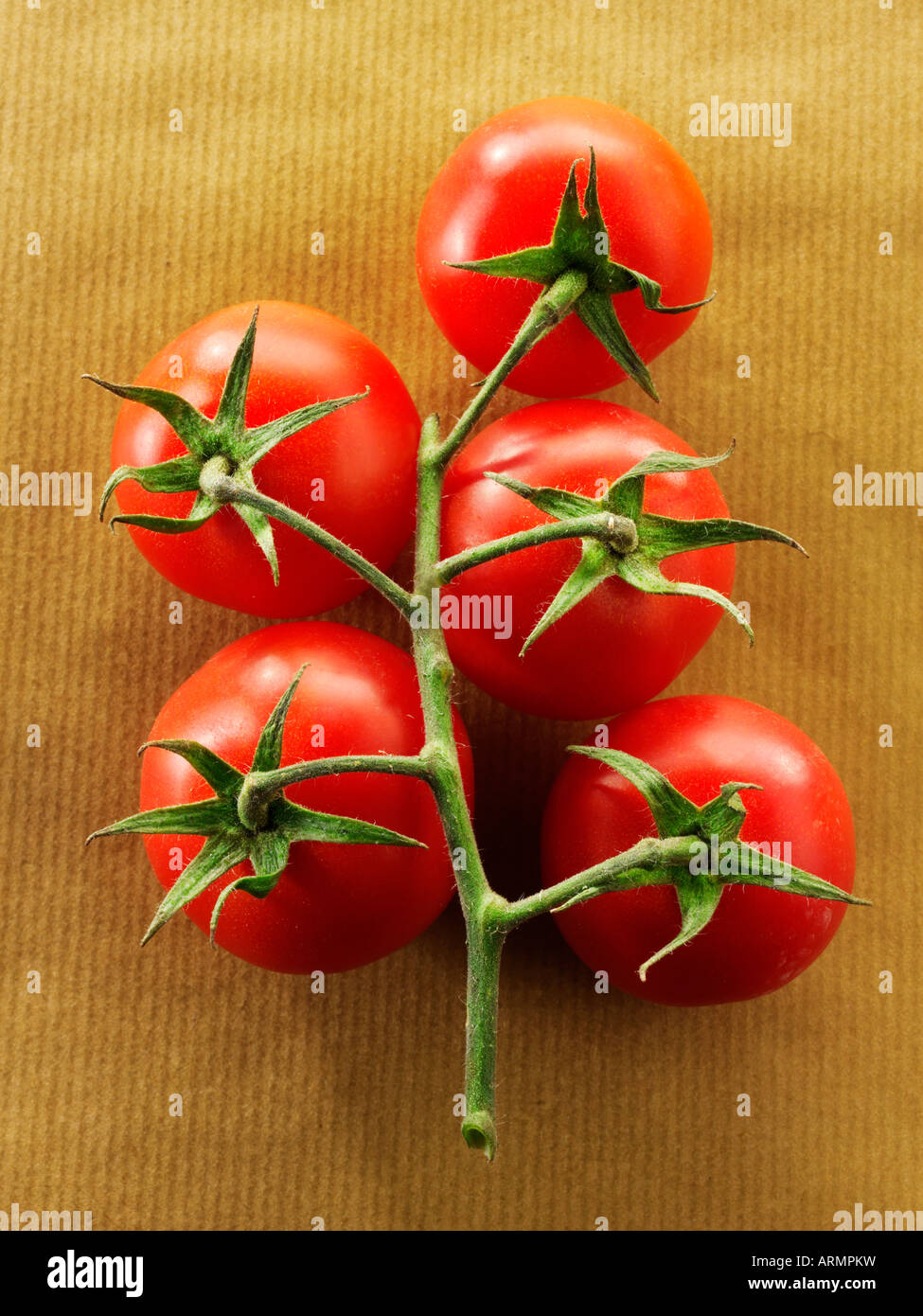 Les tomates fraîches biologiques sur la vigne Banque D'Images