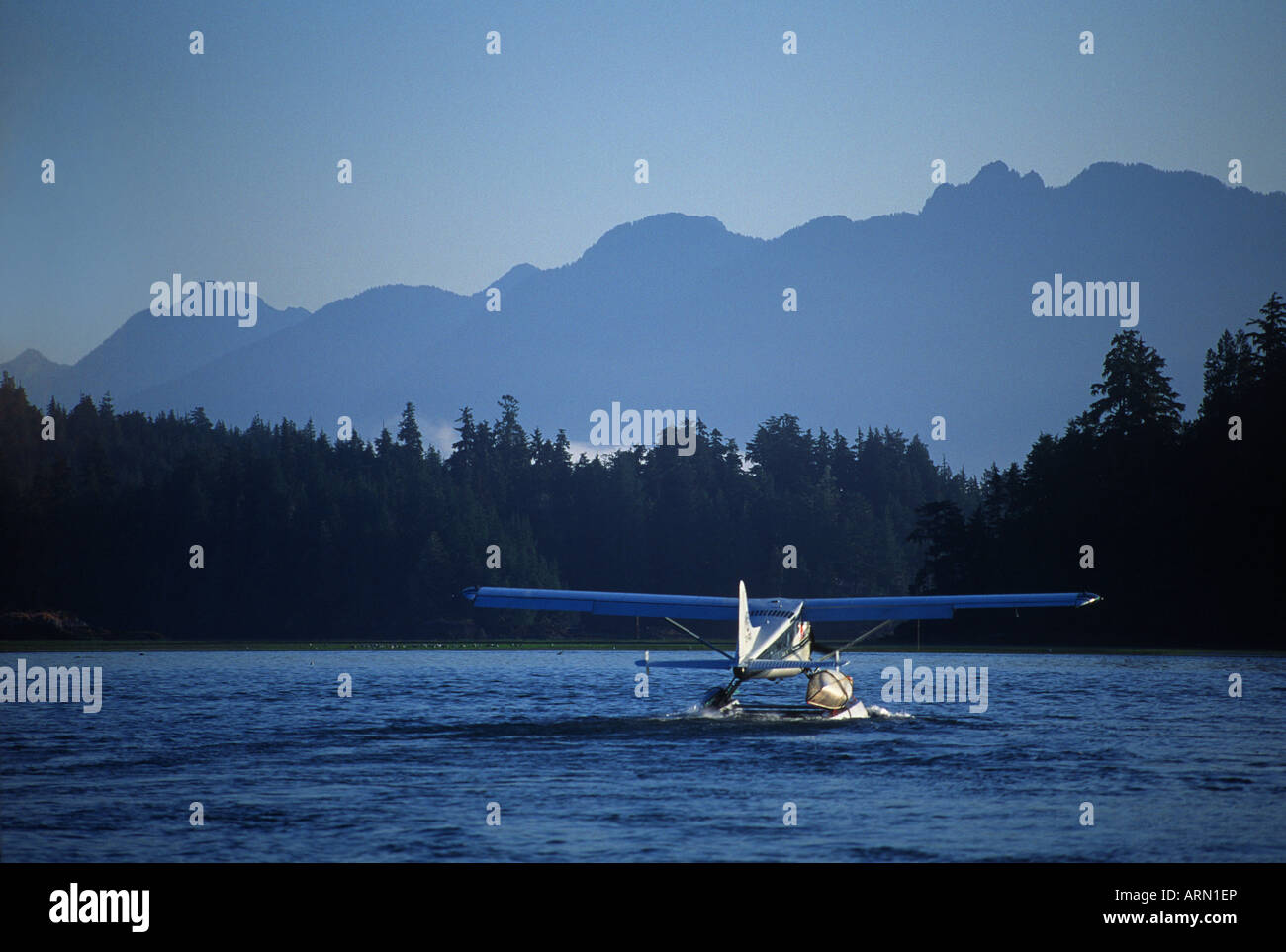 Pacific Rim, hydravion Cessna 185 , Tofino Harbour, île de Vancouver, Colombie-Britannique, Canada. Banque D'Images