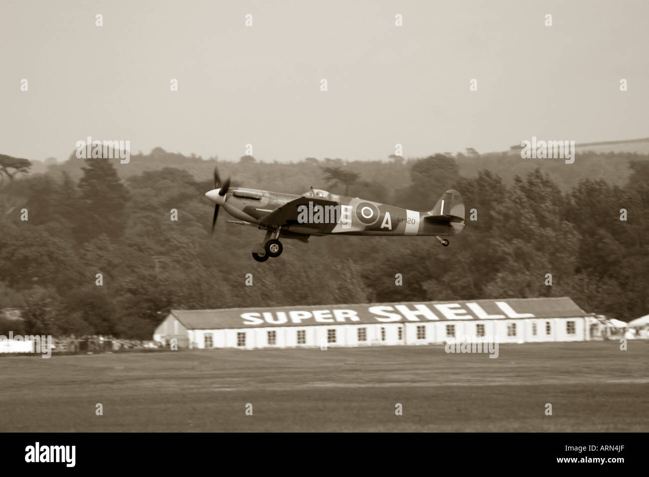 Spitfire arrive sur terre à l'Aérodrome de Goodwood, anciennement RAF, Westhampnet dans le Sussex, Angleterre. Banque D'Images