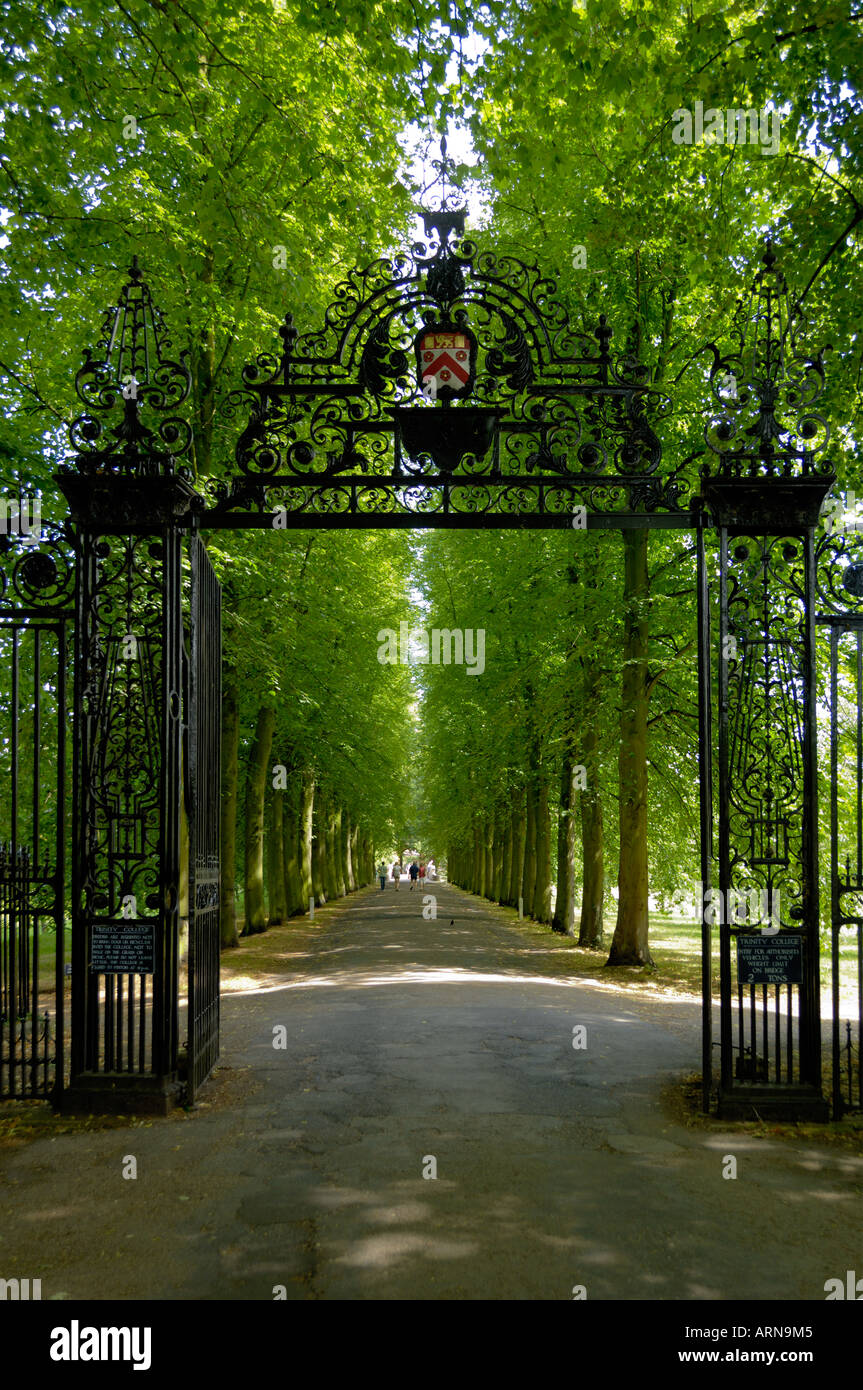Portail en fer ornemental le dos Cambridge en Angleterre Banque D'Images