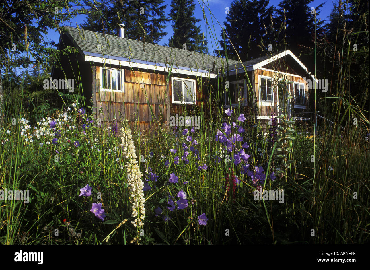 Vieux chalet rénové, l'internement des Japonais West Kootenays, New Denver, British Columbia, Canada. Banque D'Images