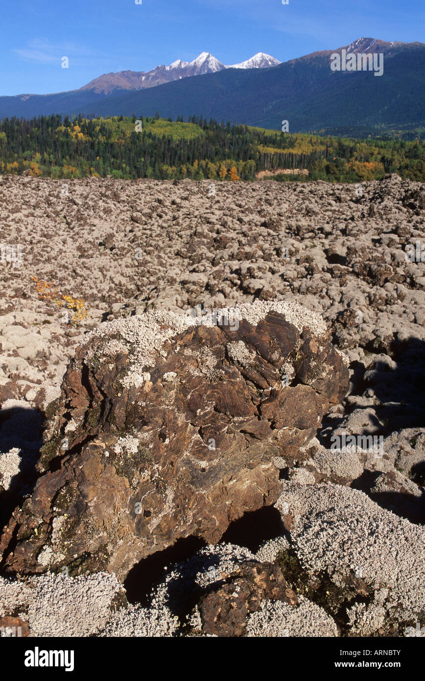 Le gouvernement Nisga'a Memorial Lava Bed Provincial Park, de lichens incrustés, rock, British Columbia, Canada. Banque D'Images