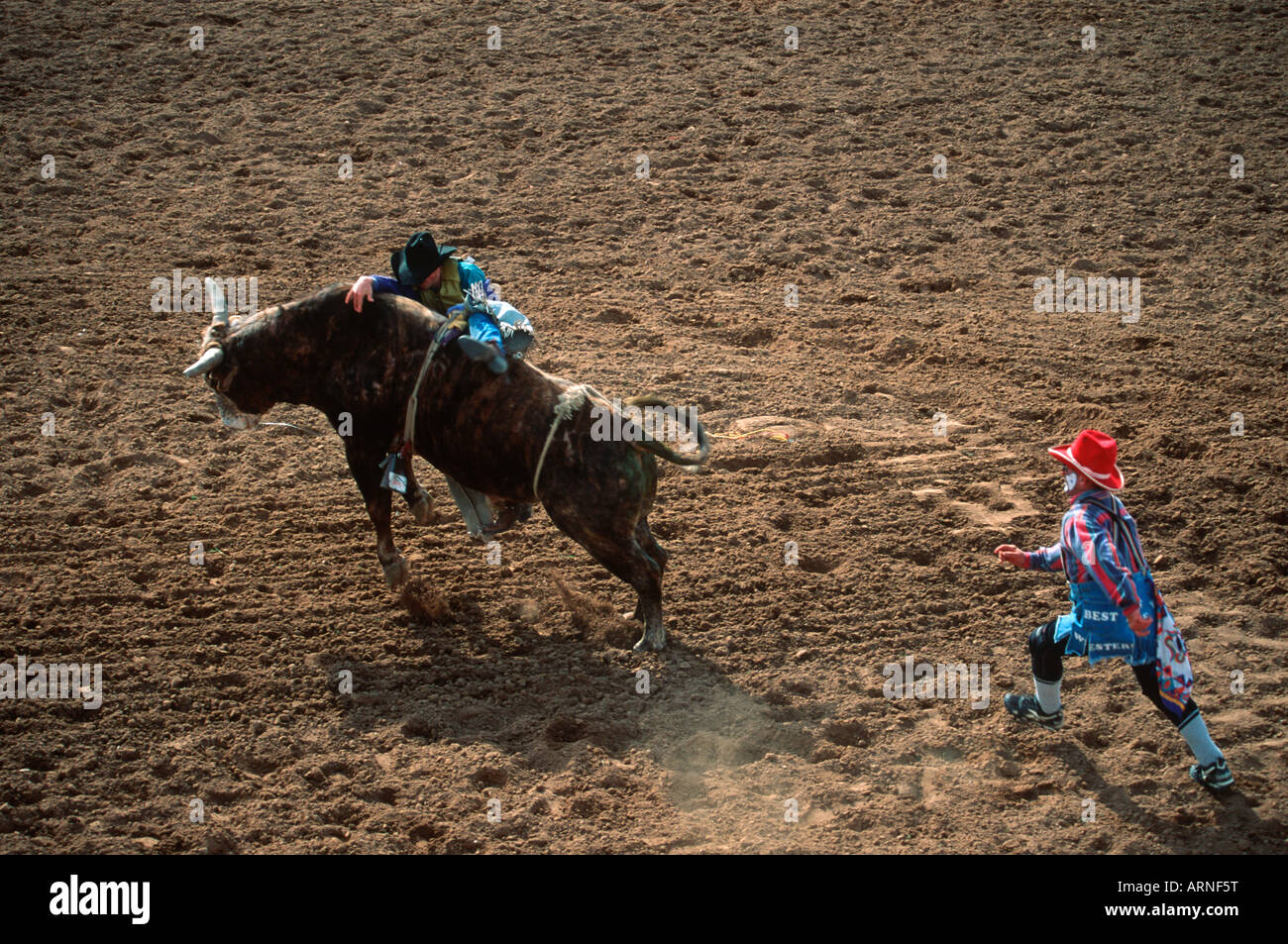Rodeo clown Banque de photographies et d’images à haute résolution - Alamy