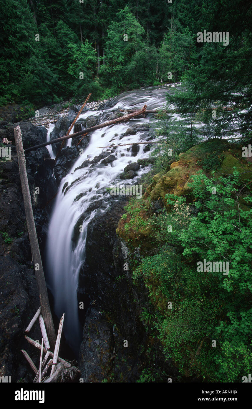 Coombs, Englishman River Falls, l'île de Vancouver, Colombie-Britannique, Canada. Banque D'Images