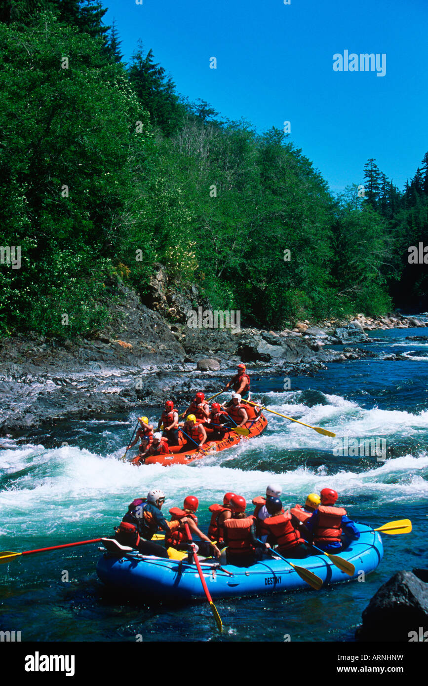 La rivière Nimpkish Rafting- destin River Outfitters, île de Vancouver, Colombie-Britannique, Canada. Banque D'Images