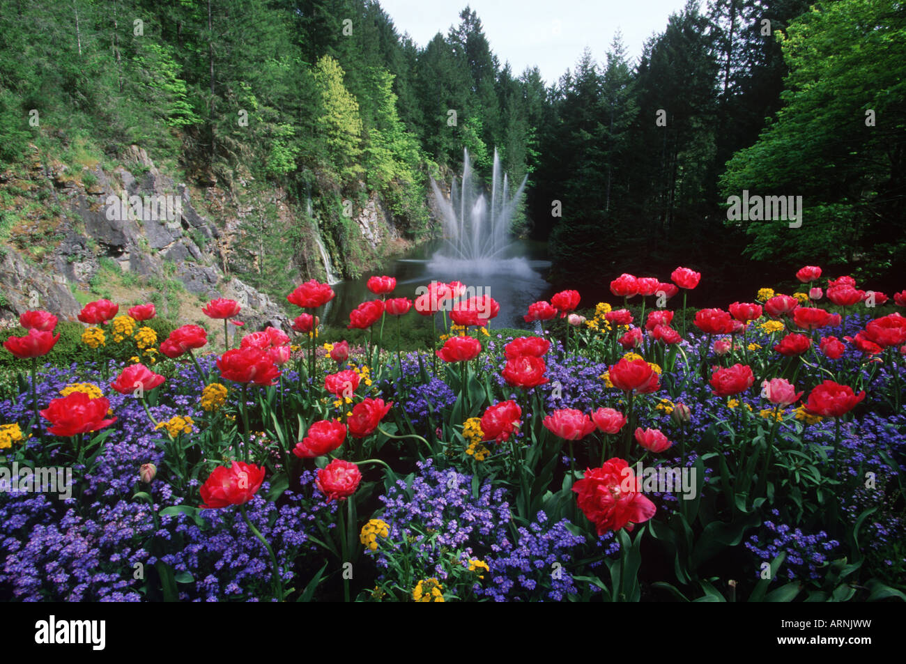 Brentwood, Ross fontaine avec les pivoines, Victoria, île de Vancouver, Colombie-Britannique, Canada. Banque D'Images