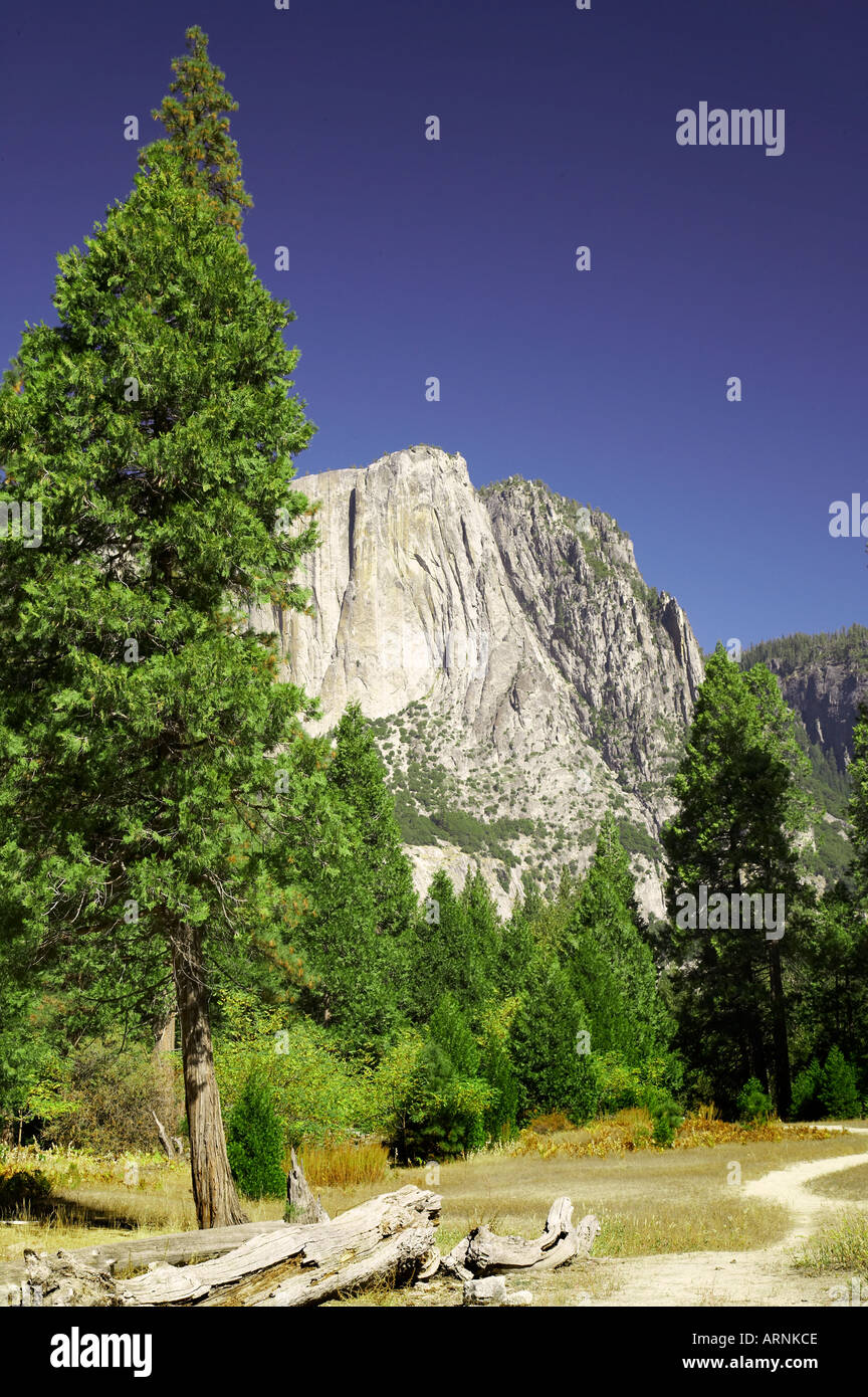 Yosemite National Park California USA Banque D'Images