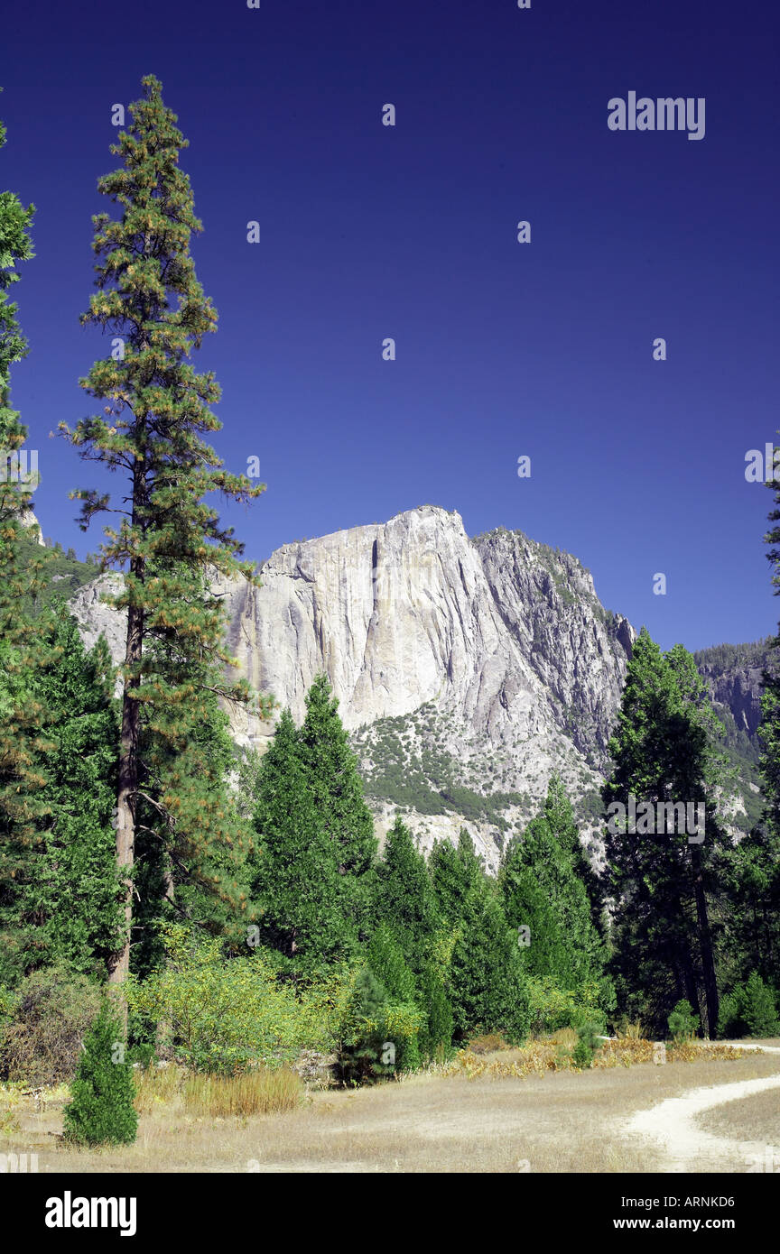Yosemite National Park California USA Banque D'Images