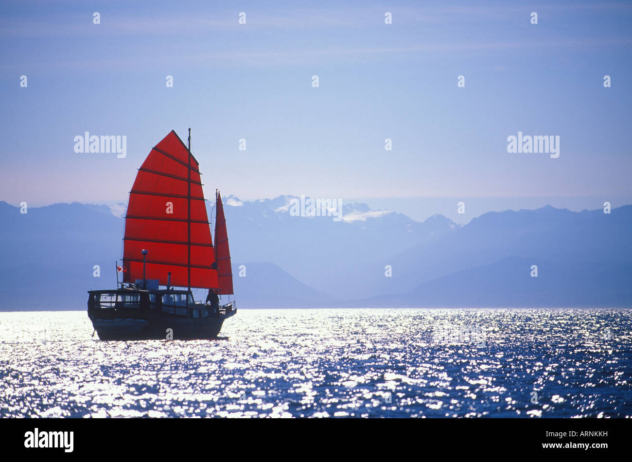 Voiles d'ordure, au bord de montagnes olympiques en distance, Victoria, île de Vancouver, Colombie-Britannique, Canada. Banque D'Images