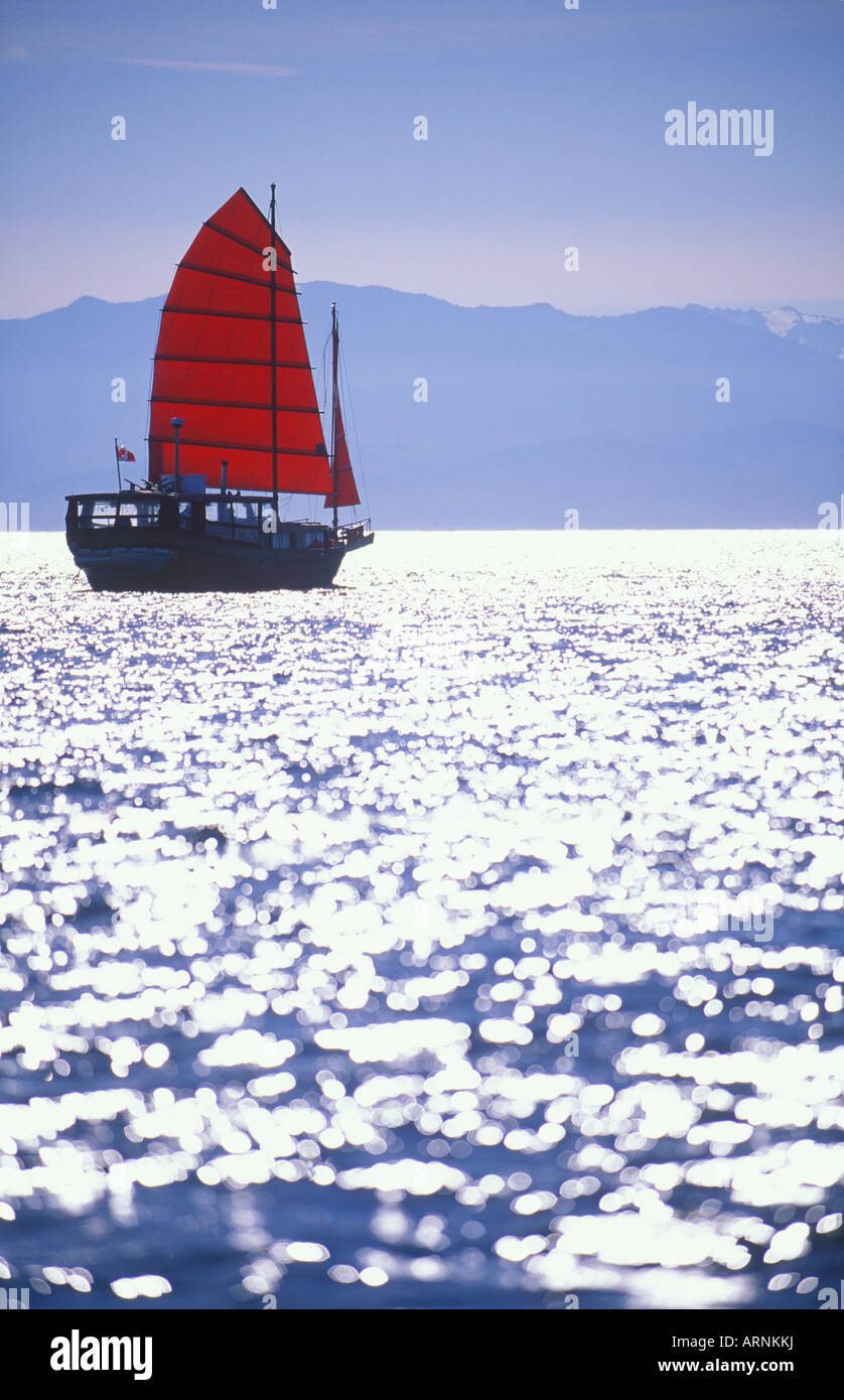 Voiles d'ordure, au bord de montagnes olympiques en distance, Victoria, île de Vancouver, Colombie-Britannique, Canada. Banque D'Images
