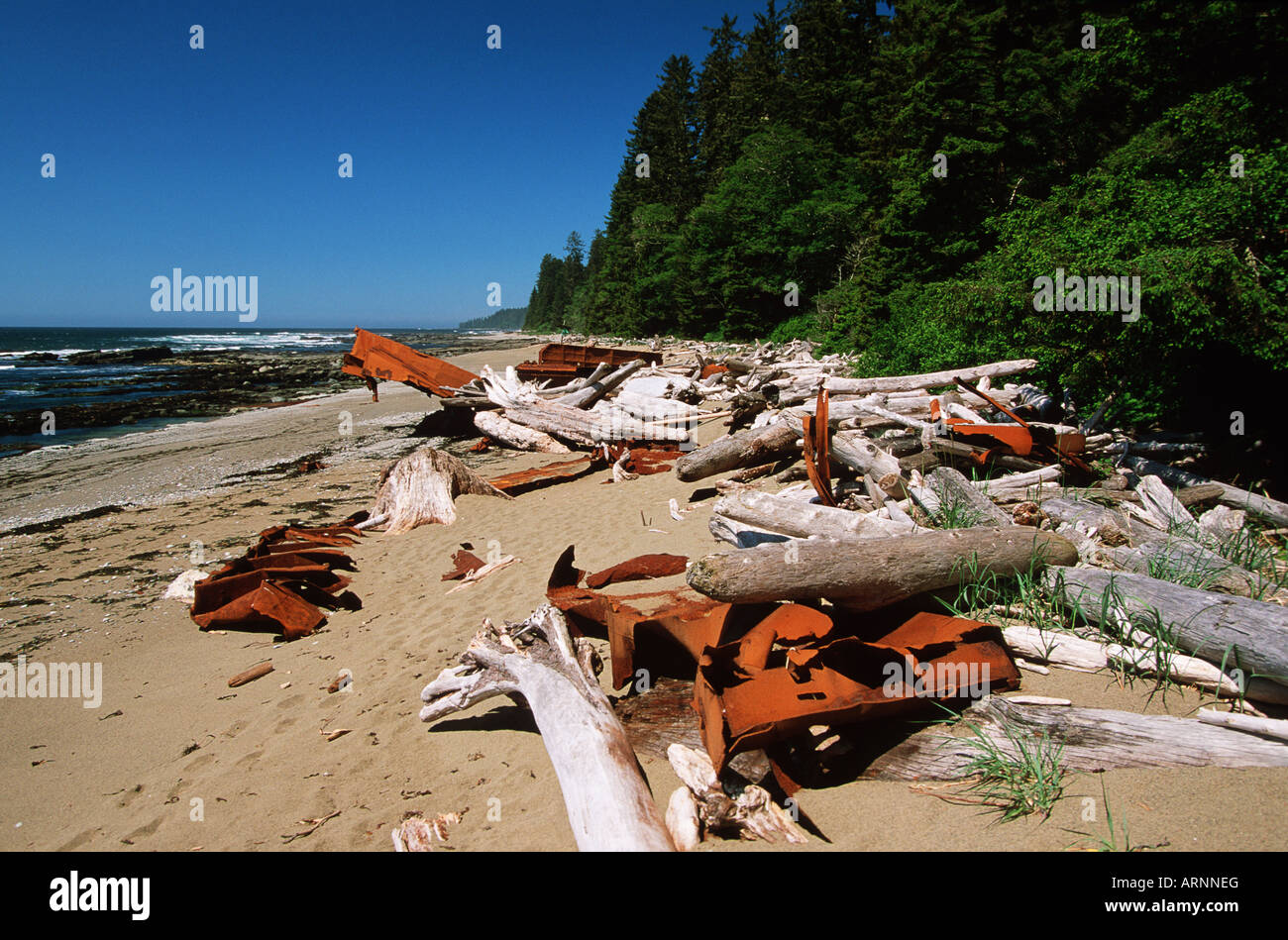 Sentier de la côte ouest, épave rouillée des débris sur Beach, Colombie-Britannique, Canada. Banque D'Images
