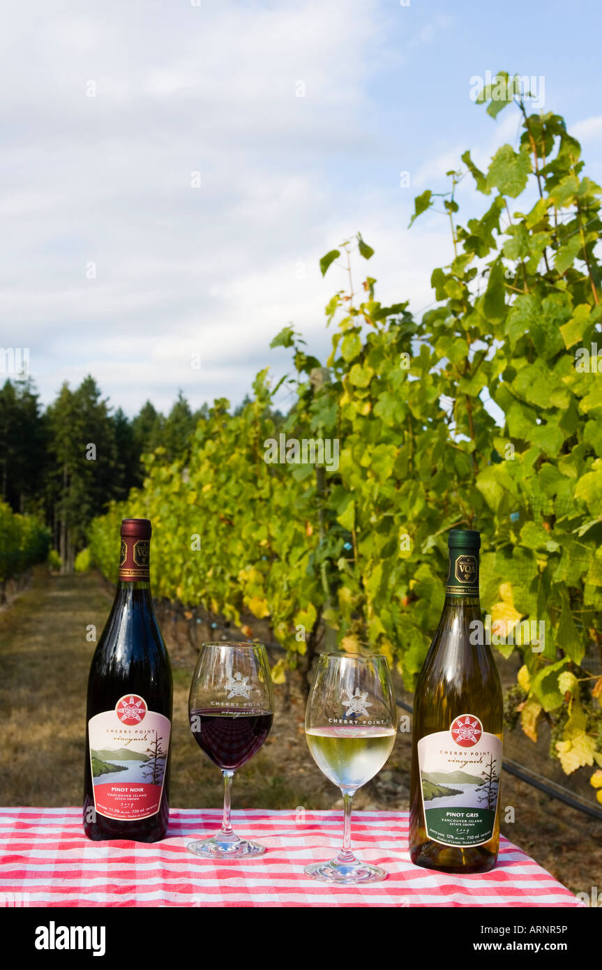 Les vins de la vallée de Cowichan, la Cherry Point Vineyards, l'île de Vancouver, Colombie-Britannique, Canada. Banque D'Images