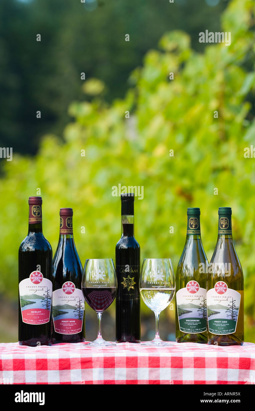 Les vins de la vallée de Cowichan, la Cherry Point Vineyards, l'île de Vancouver, Colombie-Britannique, Canada. Banque D'Images