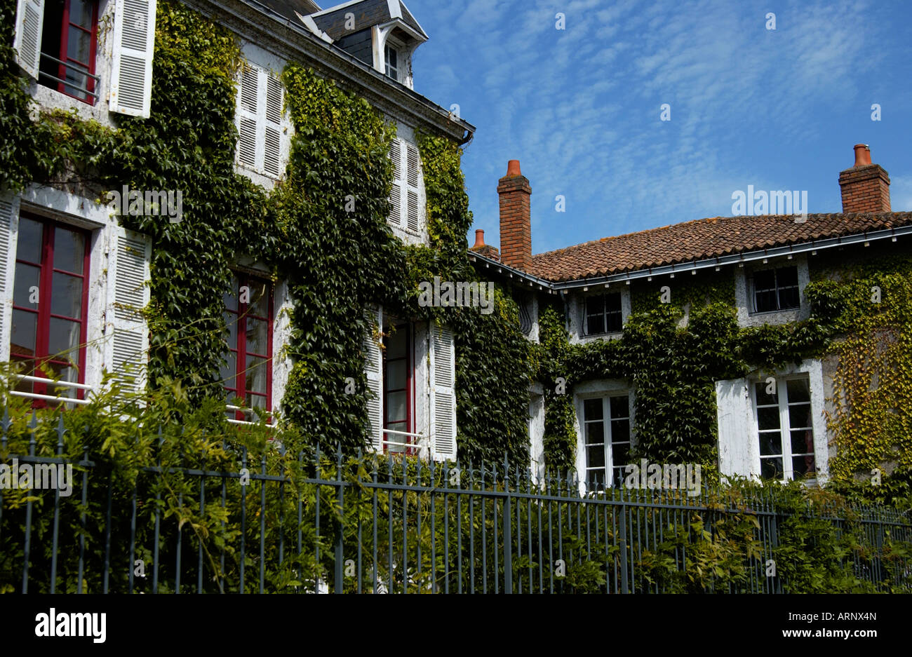 Ivy escalade sur l'ancien bâtiment de caractère à Parthenay, France Banque D'Images