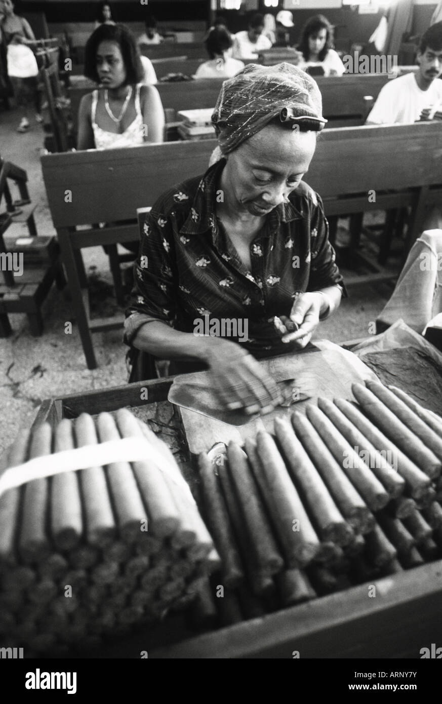Cuba, La Havane, fabrique de cigares Pantages B&W, cigares et soft focus travailleur féminin Banque D'Images