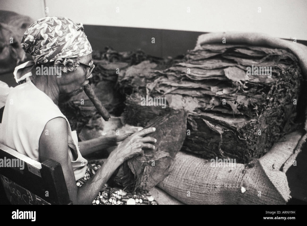 Cuba, La Havane, femme fume un cigare cubain tout en roulant la feuille de tabac pour faire des cigares. Banque D'Images