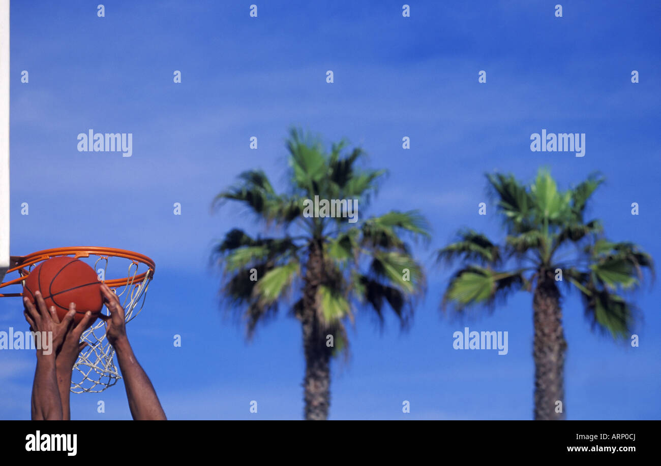 Les joueurs de basket-ball pour rebondir, palmiers en arrière-plan, Venice Beach, Los Angeles, USA. Banque D'Images