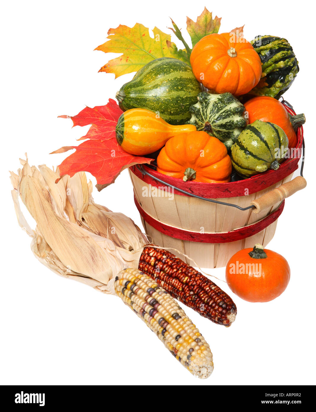 Panier d'automne les gourdes et Indian Corn Banque D'Images