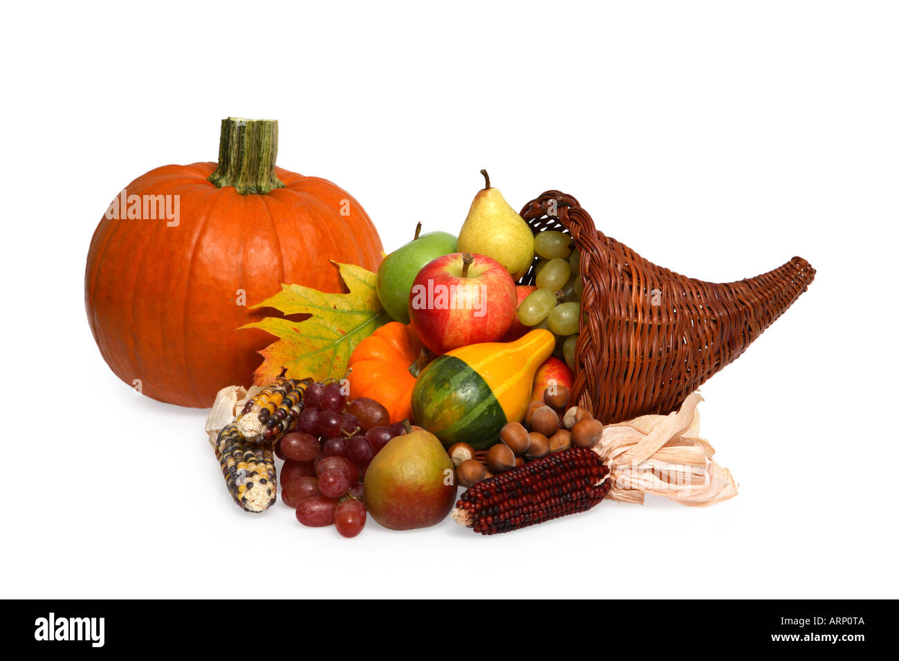 La citrouille et la corne de l'automne Banque D'Images